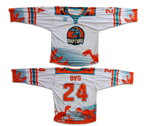 Load image into Gallery viewer, RAPTORS